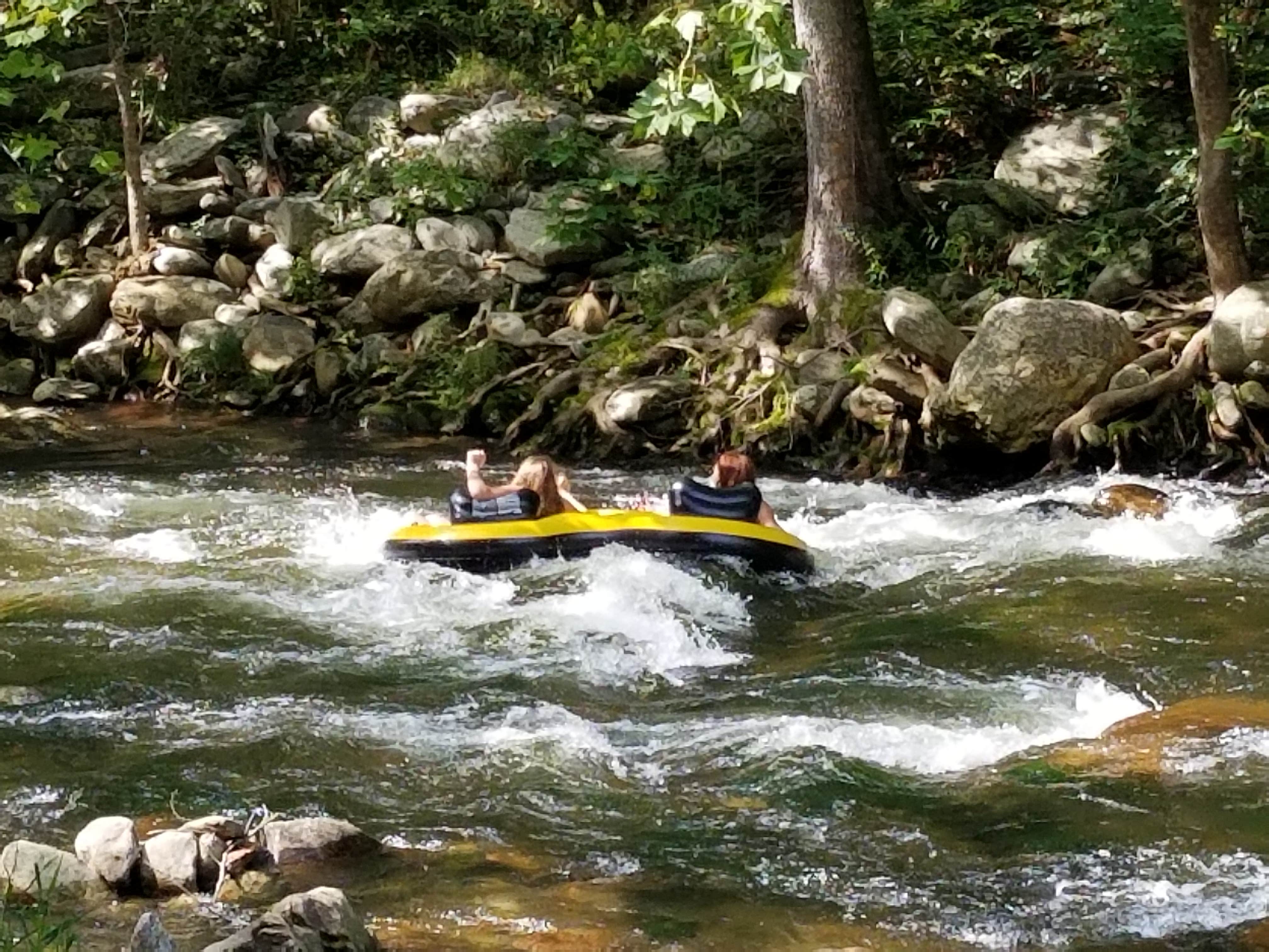 Camper-submitted photo at Yogi in the smokies near Bryson City, NC