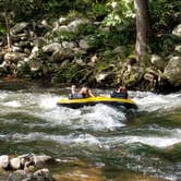 Review photo of Yogi in the smokies by Scotty W., May 6, 2025