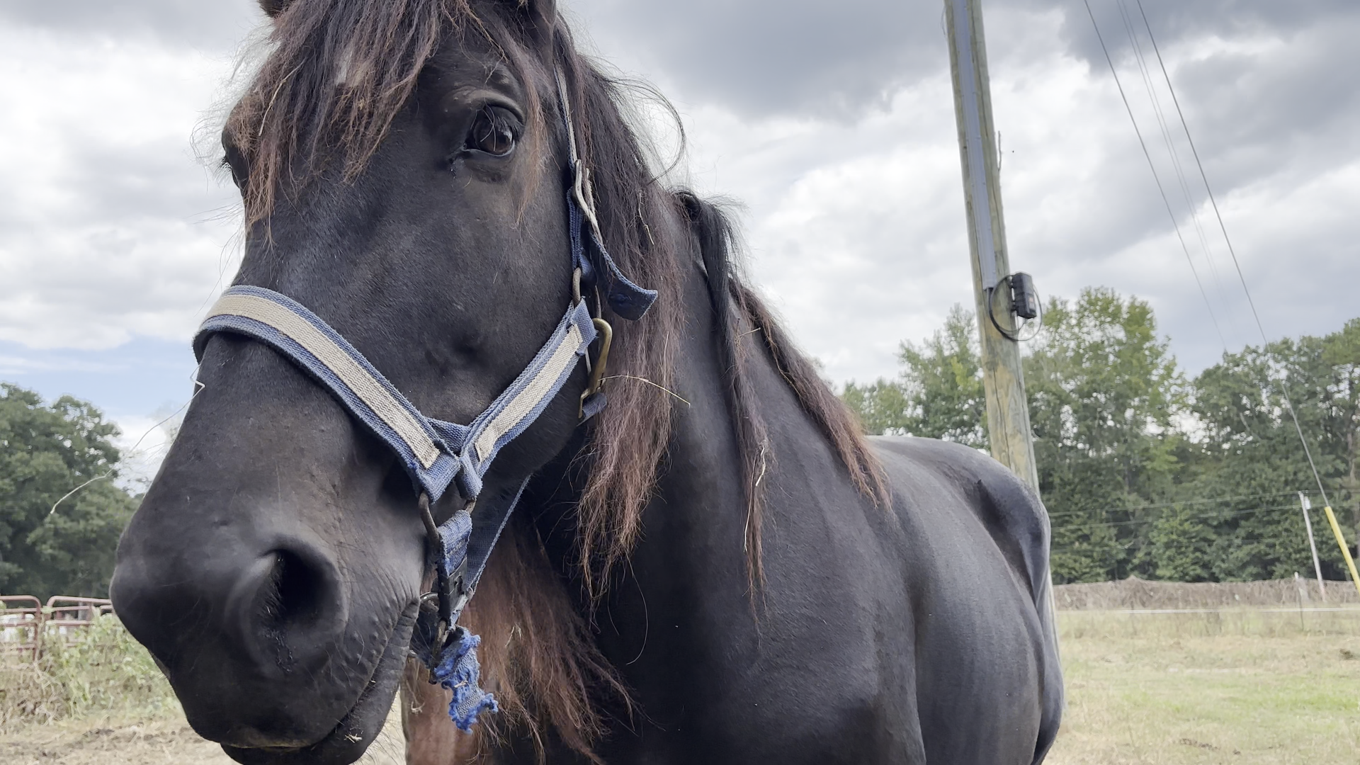 Camper-submitted photo at Fulmer's Farmstead and General Store near Richton, MS