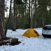 Review photo of Goat Meadow - Dispersed Camp Site by Alexander Mark C., May 6, 2025