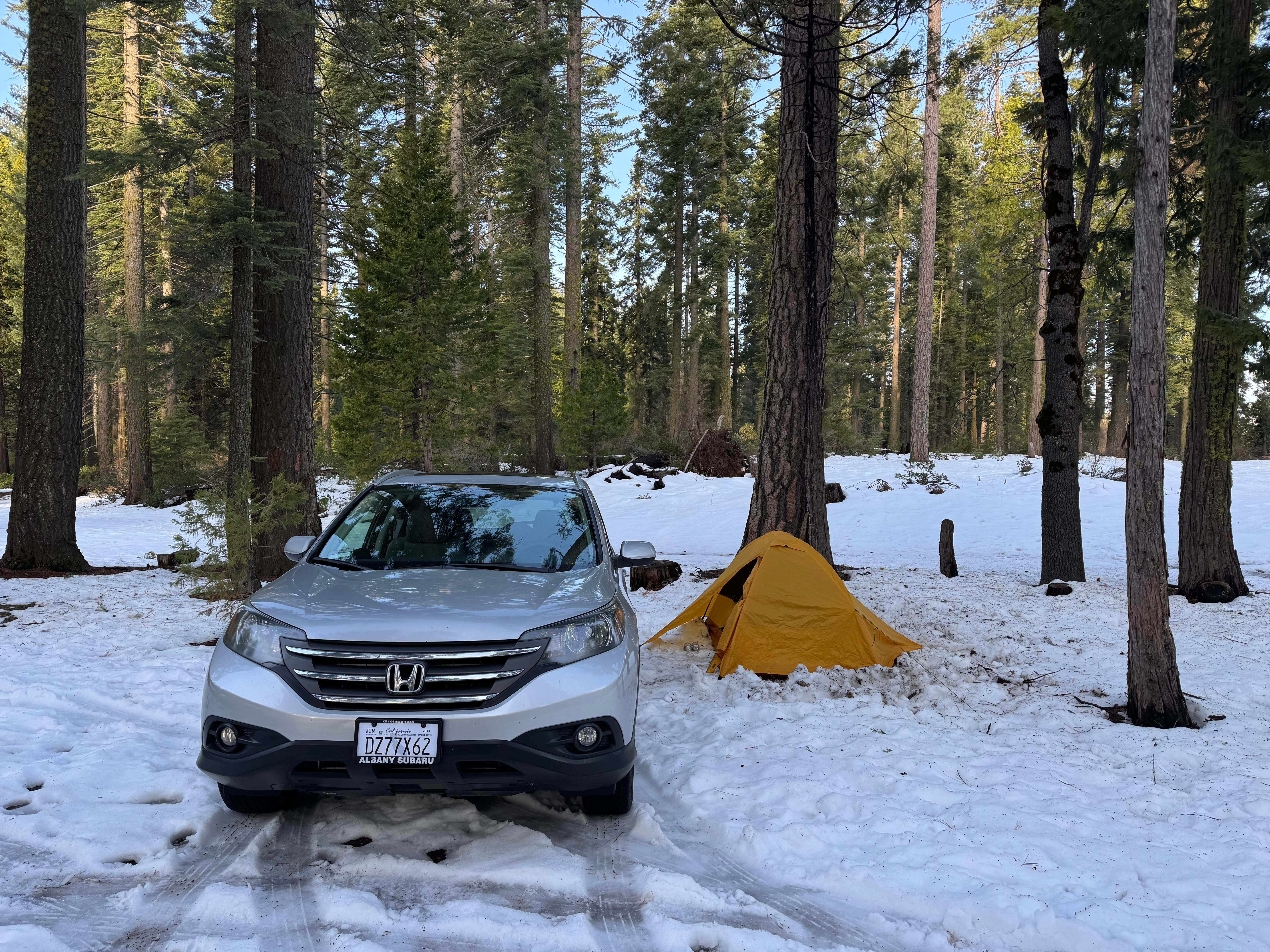 Camper-submitted photo at Goat Meadow - Dispersed Camp Site near Wawona, CA