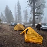 Review photo of Forest Road 14S11 North Camp by Alexander Mark C., May 6, 2025