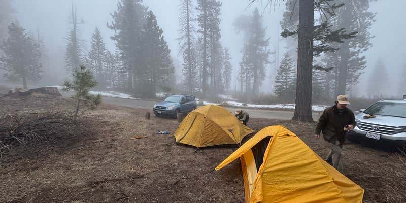 Camper submitted image from Forest Road 14S11 North Camp