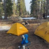 Review photo of Forest Road 14S11 North Camp by Alexander Mark C., May 6, 2025