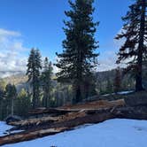 Review photo of Forest Road 14S11 North Camp by Alexander Mark C., May 6, 2025