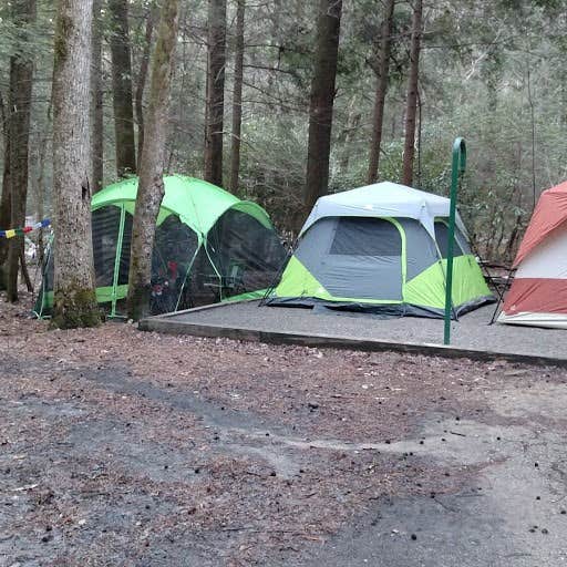 John W.'s photo at Vogel State Park Campground near Chattahoochee-Oconee National Forests