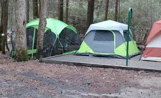 John W.'s photo at Vogel State Park Campground near Chattahoochee-Oconee National Forests