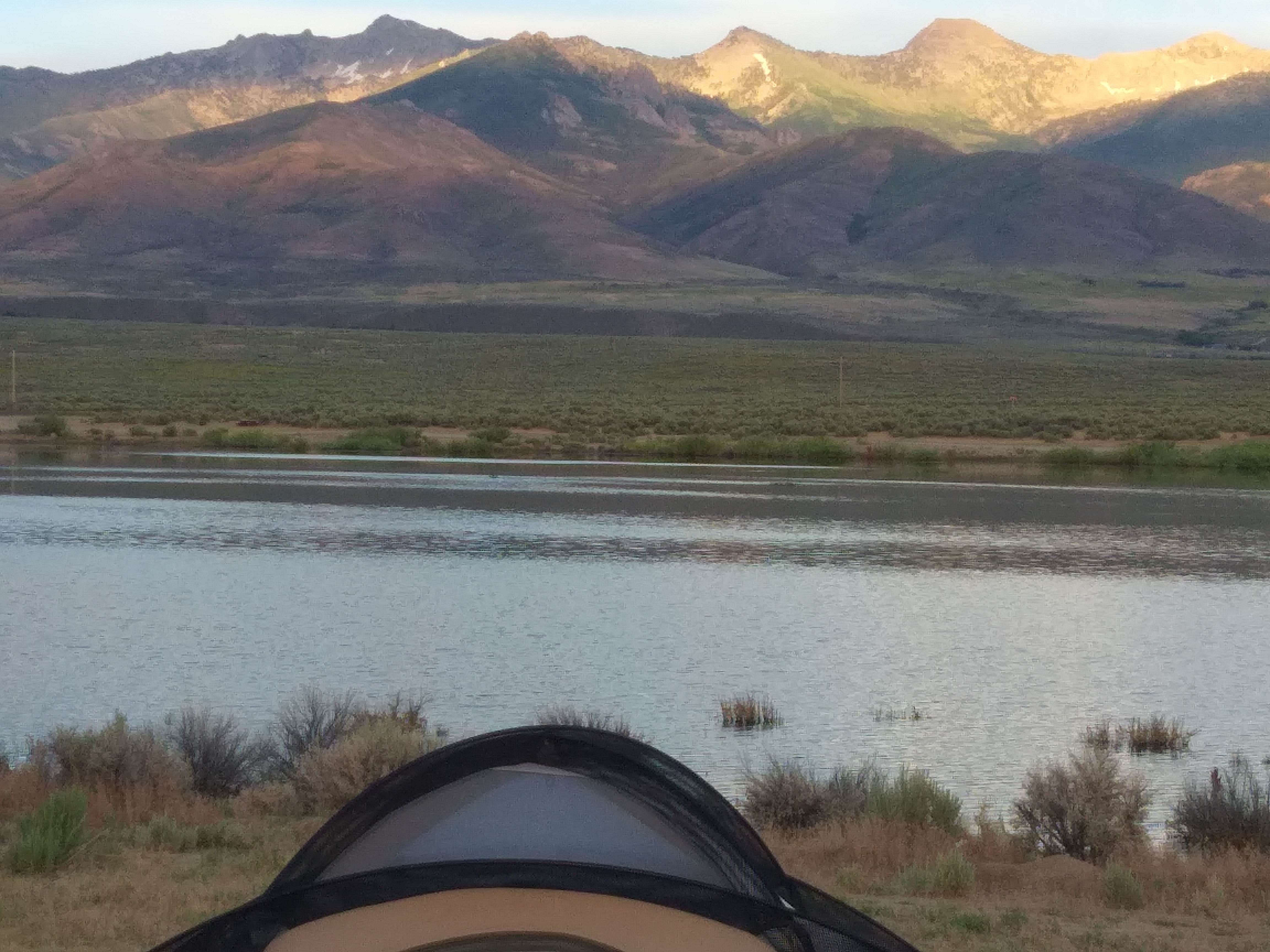 Camper submitted image from Zunino-Jiggs Reservoir - 3