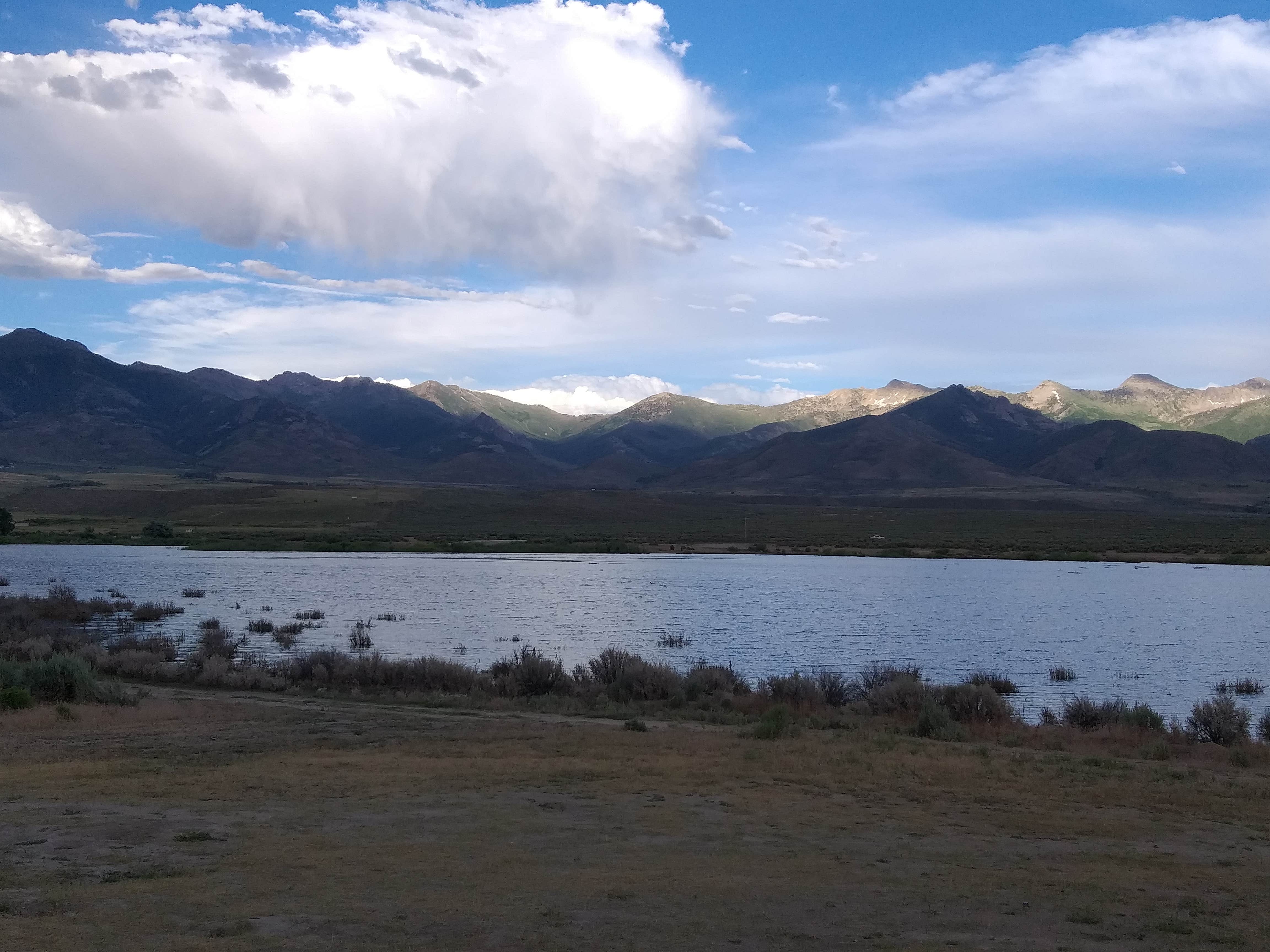 Camper submitted image from Zunino-Jiggs Reservoir - 1