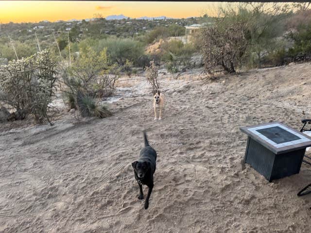 Camper-submitted photo at Casita Catalina near Mammoth, AZ