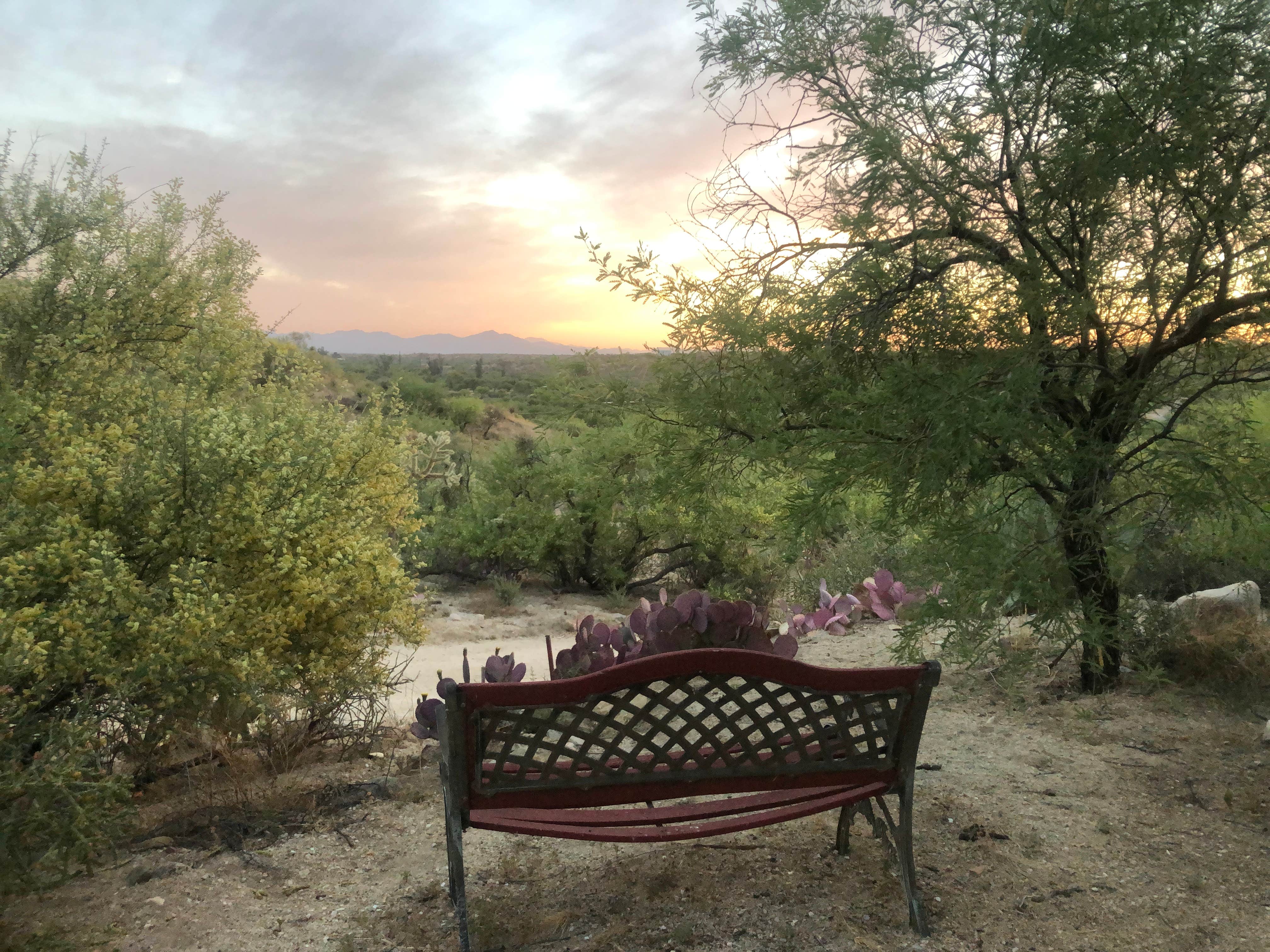 Camper-submitted photo at Casita Catalina near Mammoth, AZ