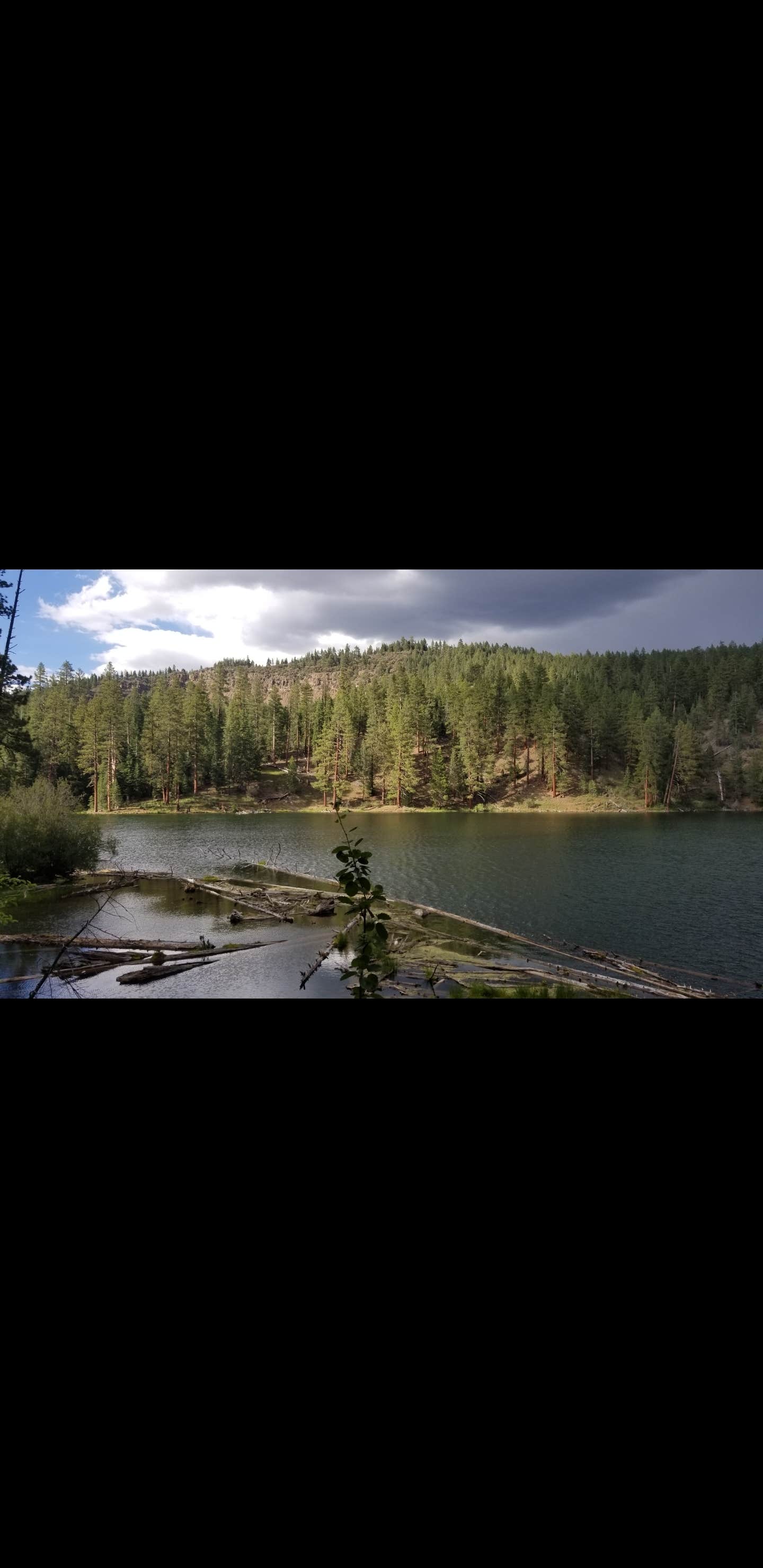 Camper-submitted photo at Mill Creek Falls Campground near Likely, CA