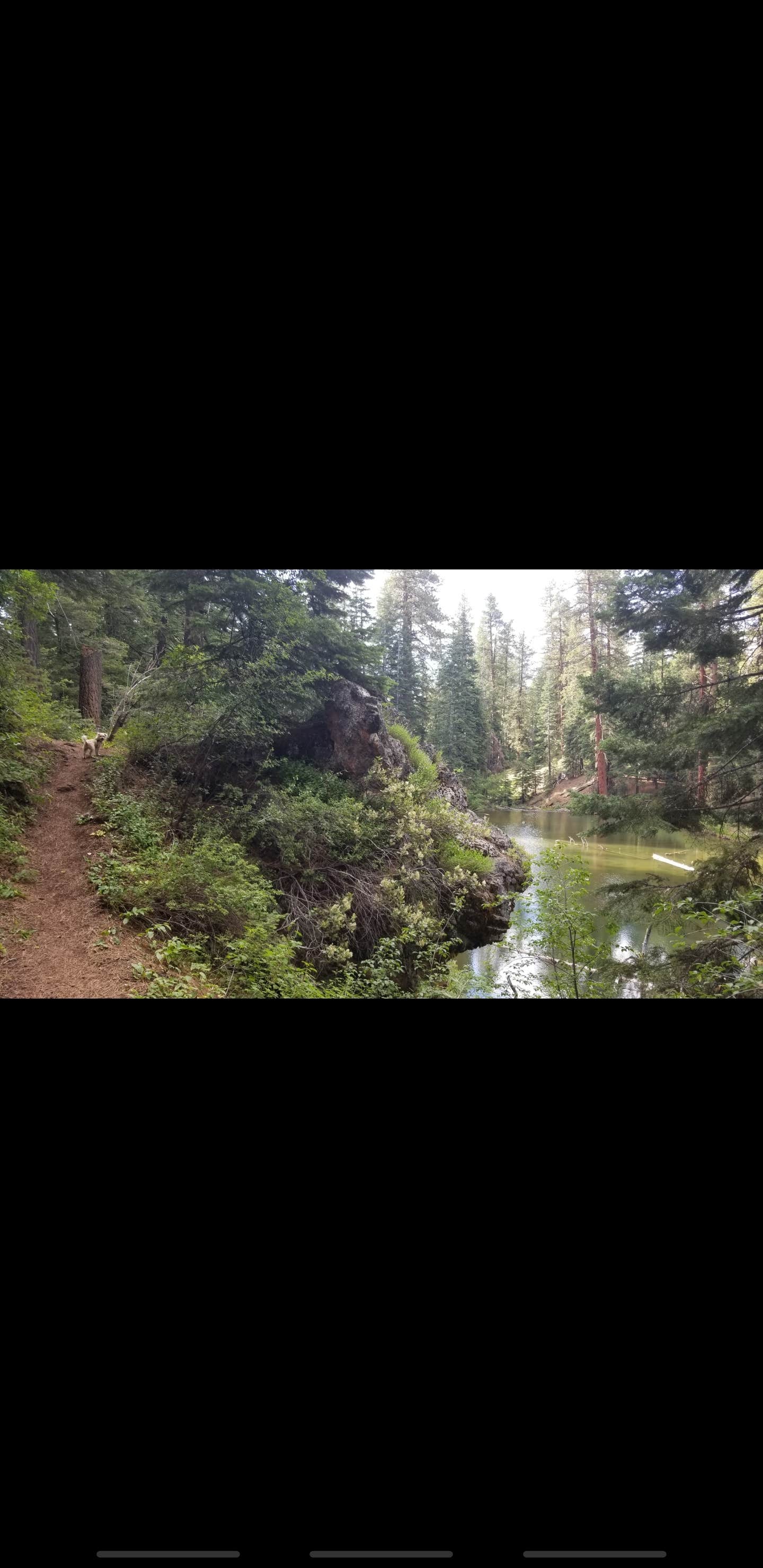 Camper-submitted photo at Mill Creek Falls Campground near Likely, CA