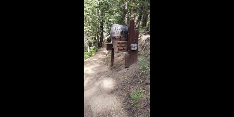 Camper submitted image from Mill Creek Falls Campground