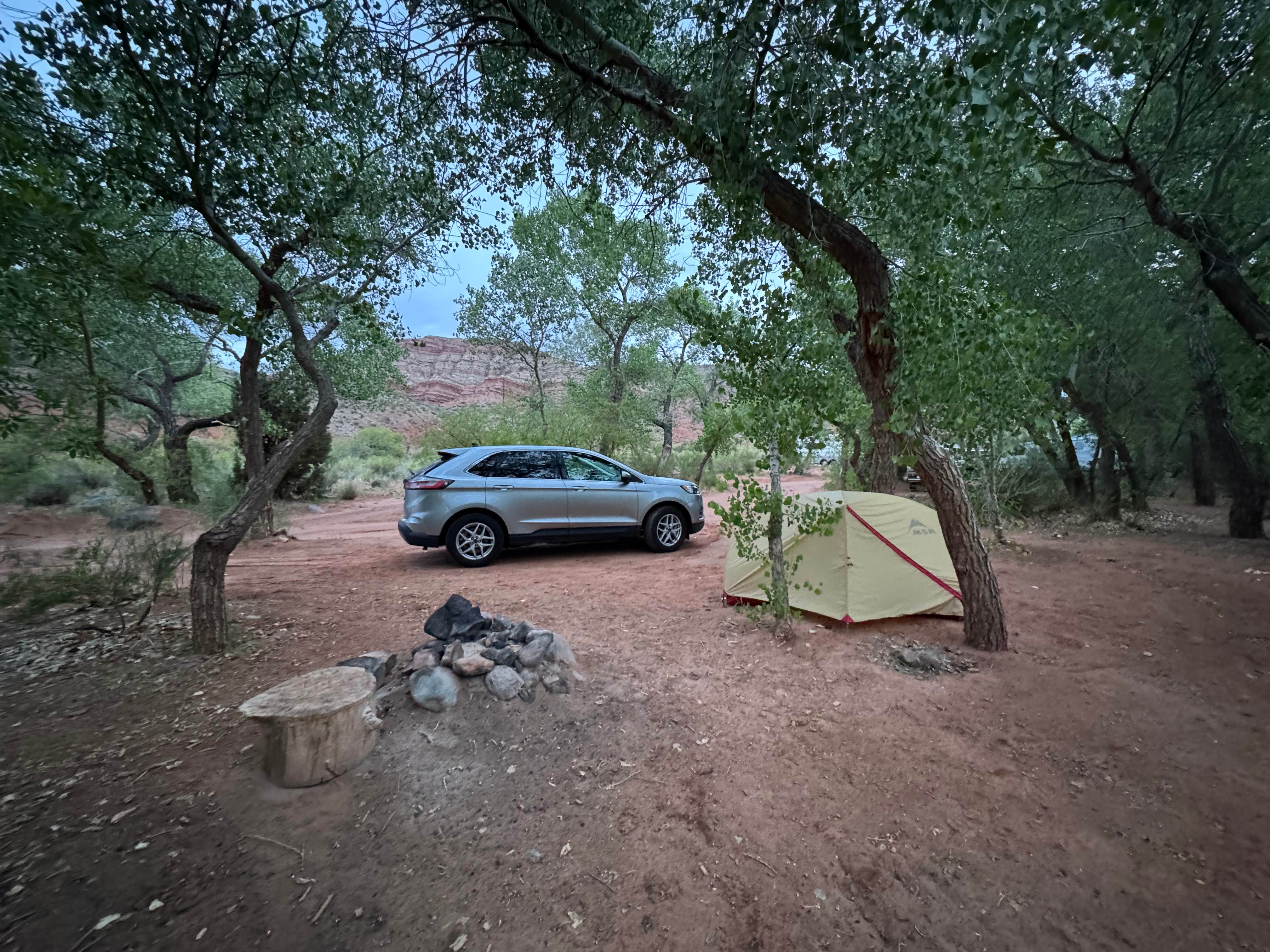 Morgan L.'s photo at North Creek Dispersed Camping near Virgin, UT