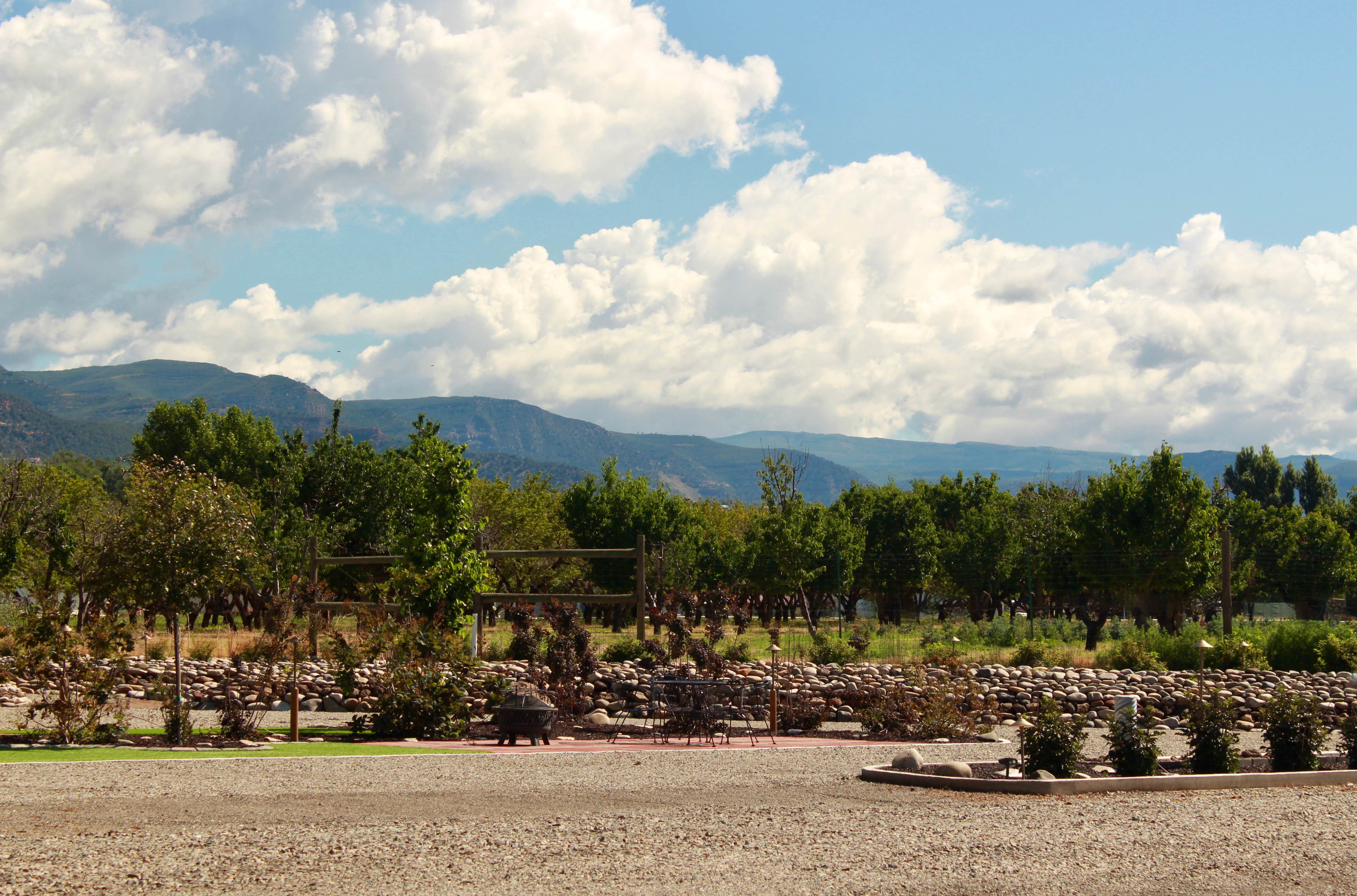 Camper-submitted photo at River Village RV Park near Austin, CO
