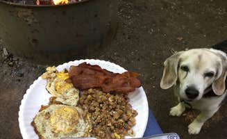 Amy K.'s photo of camping with pets at Au Train Lake Campground near Ishpeming, MI
