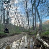 Review photo of Strouds Run State Park Campground by Anna S., May 7, 2025