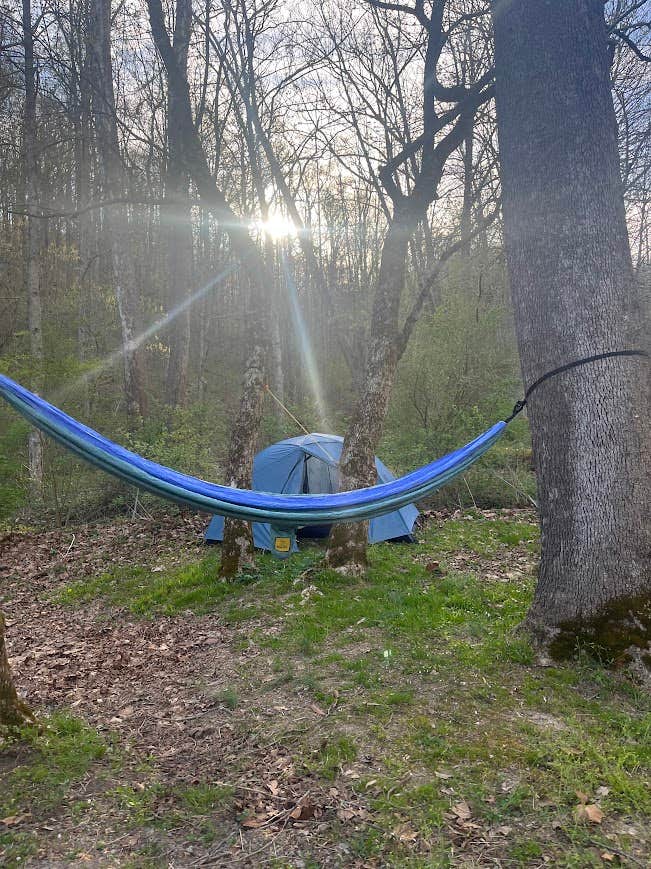 Anna S.'s photo at Strouds Run State Park Campground near Glouster, OH