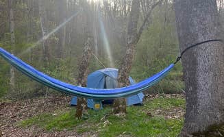 Anna S.'s photo at Strouds Run State Park Campground near Vienna, WV