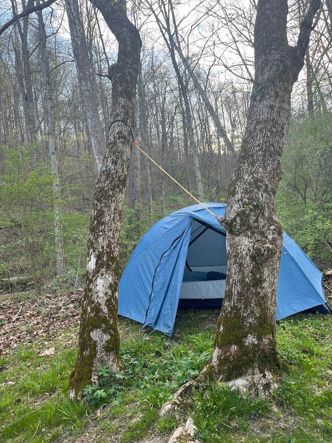 Camper-submitted photo at Strouds Run State Park Campground near Clifton, OH