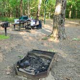 Review photo of Petit Jean State Park — Petit Jean State Park by Fred S., May 7, 2025