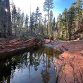 Review photo of Pine Flat Campground West by Bill R., May 7, 2025