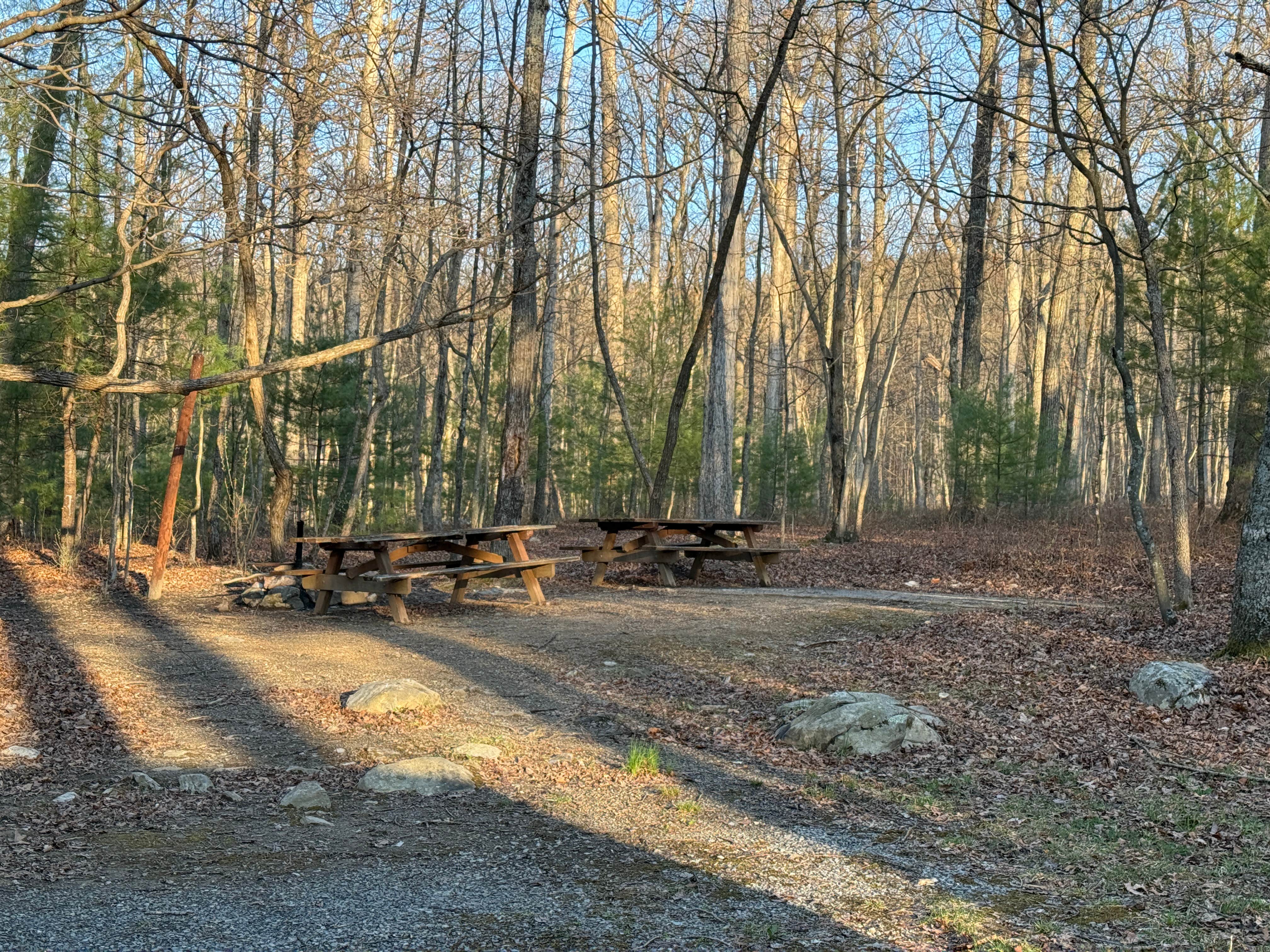 Camper submitted image from Hawk Campground - 4