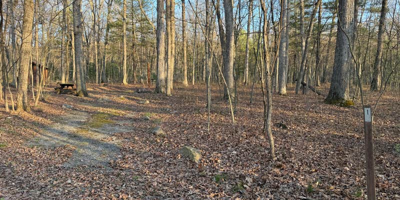 Camper submitted image from Hawk Campground