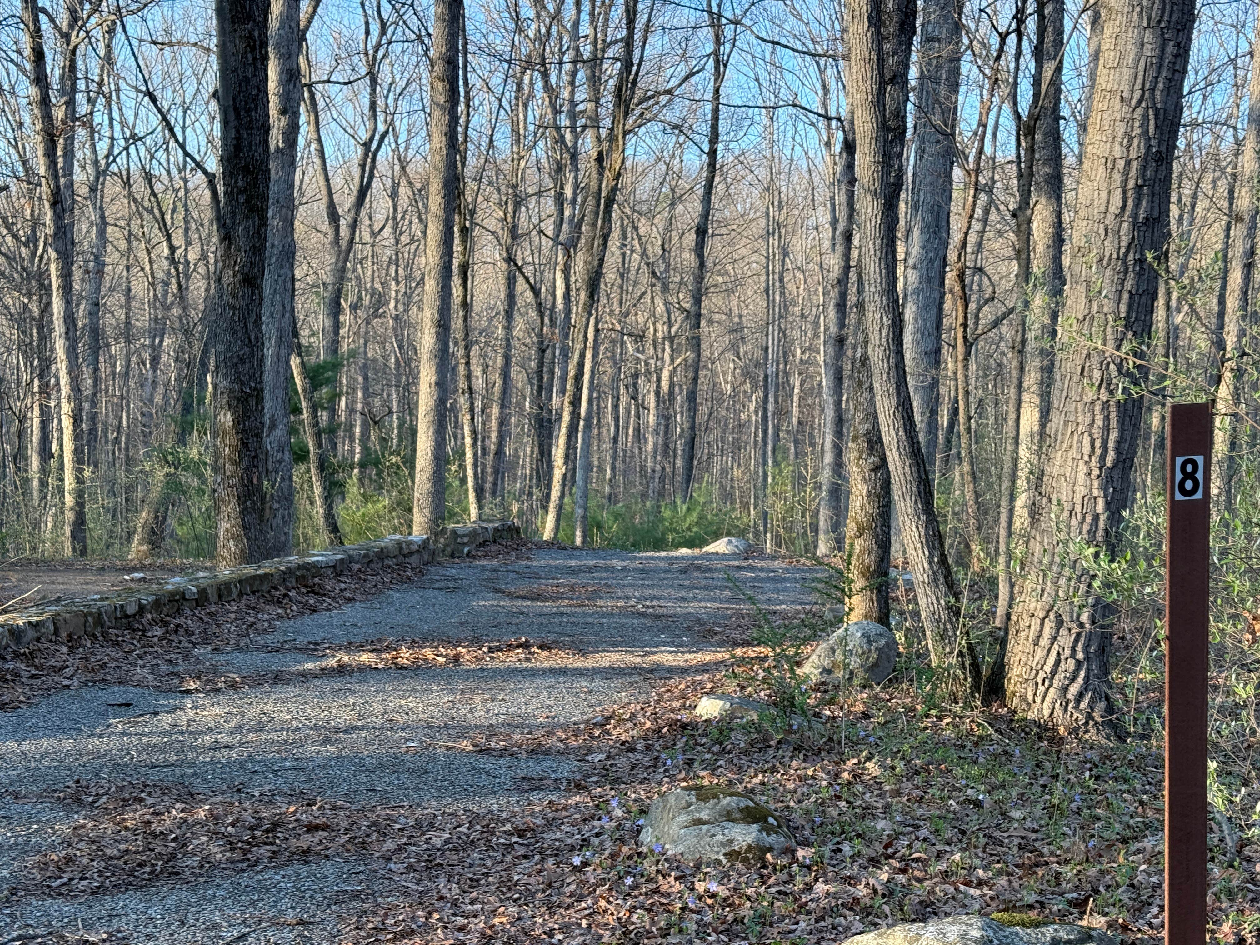 Camper submitted image from Hawk Campground - 2