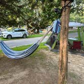 Review photo of Wildwood State Park Campground by Giselle P., May 8, 2025