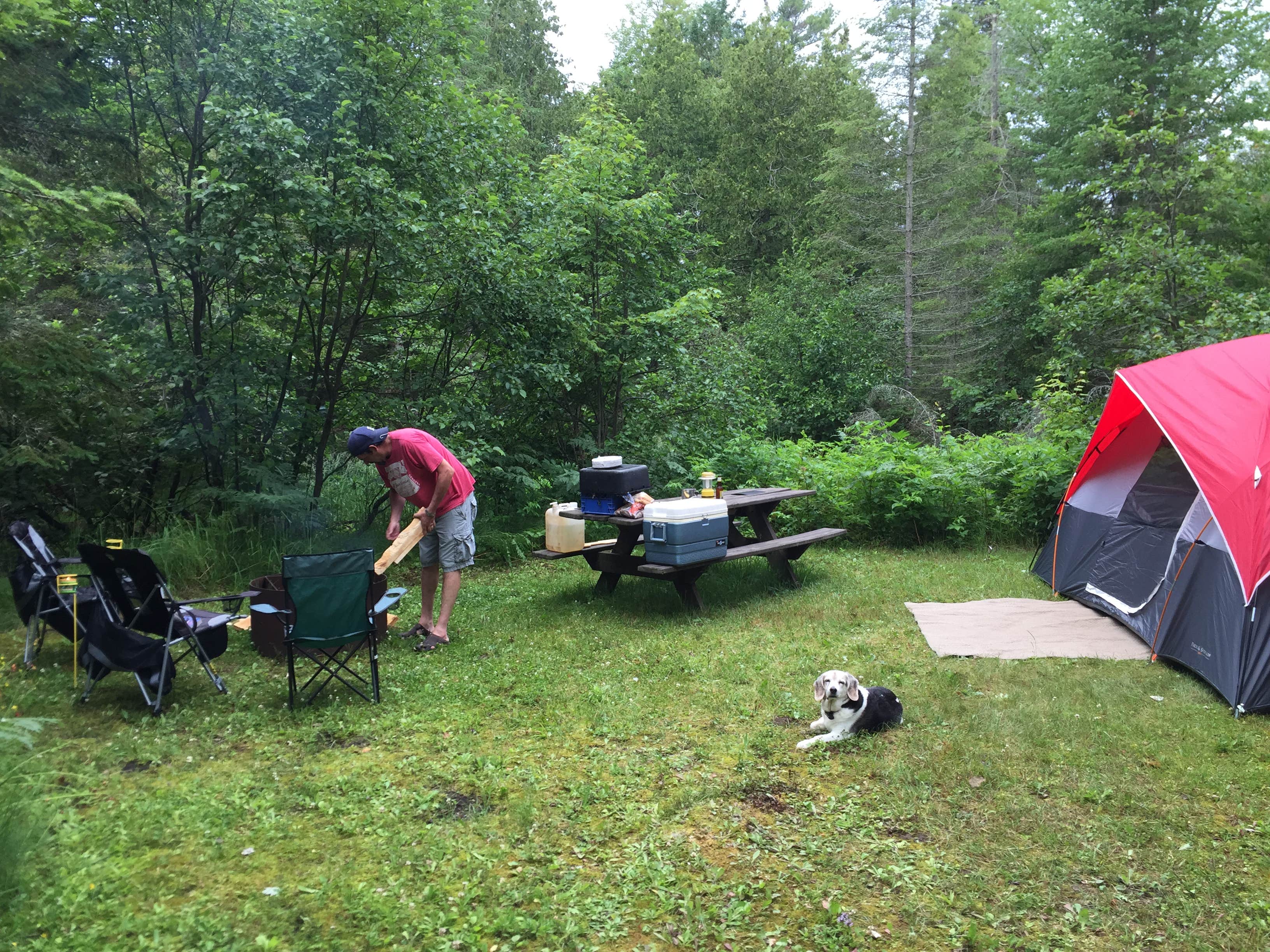 Camper submitted image from Hog Island Point State Forest Campground - 3