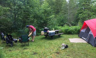 Amy K.'s photo at Hog Island Point State Forest Campground near Eckerman, MI