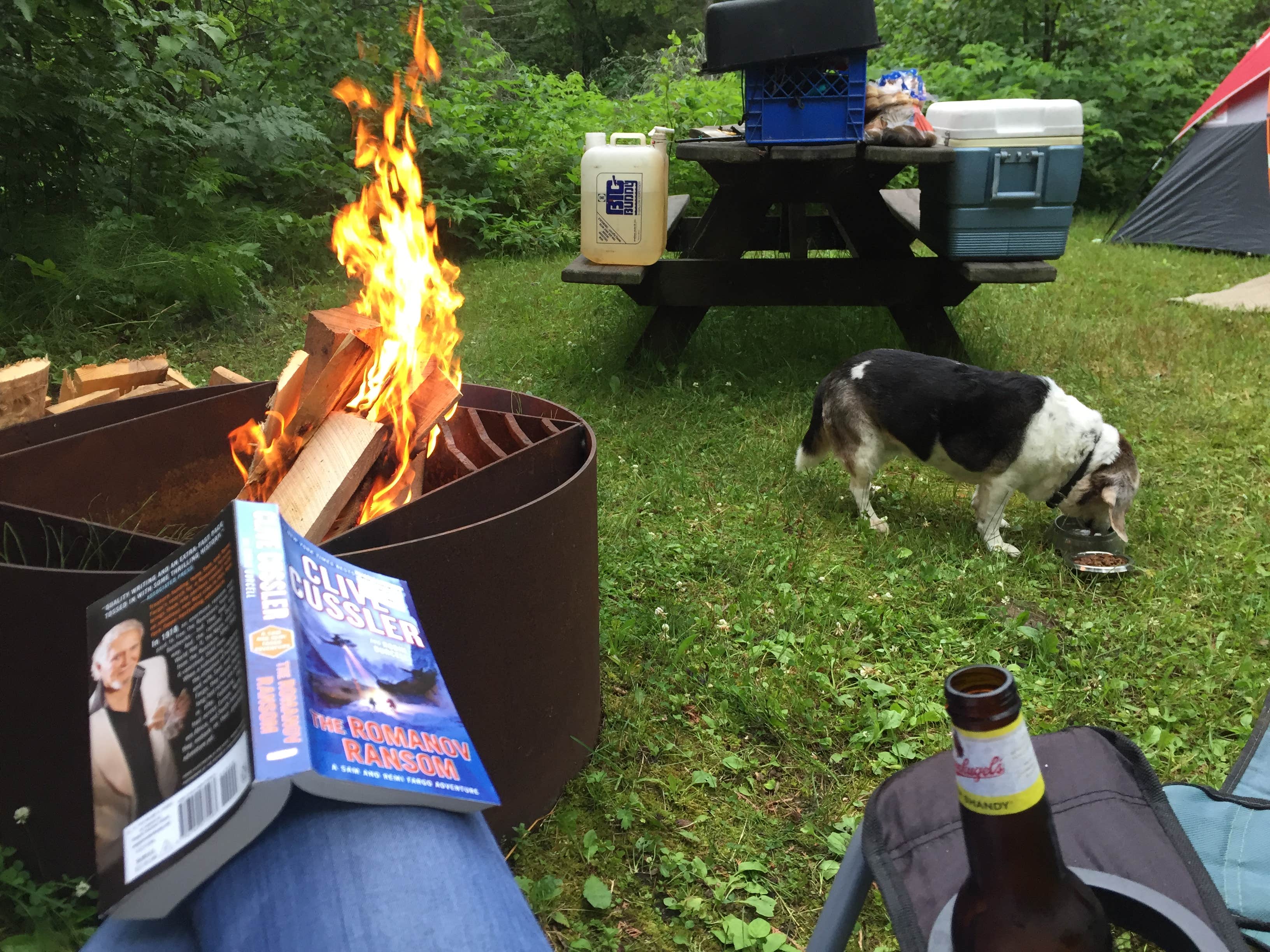 Camper submitted image from Hog Island Point State Forest Campground - 5