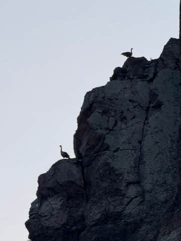 Camper-submitted photo at Barretts Station Park Campground near Jackson, MT