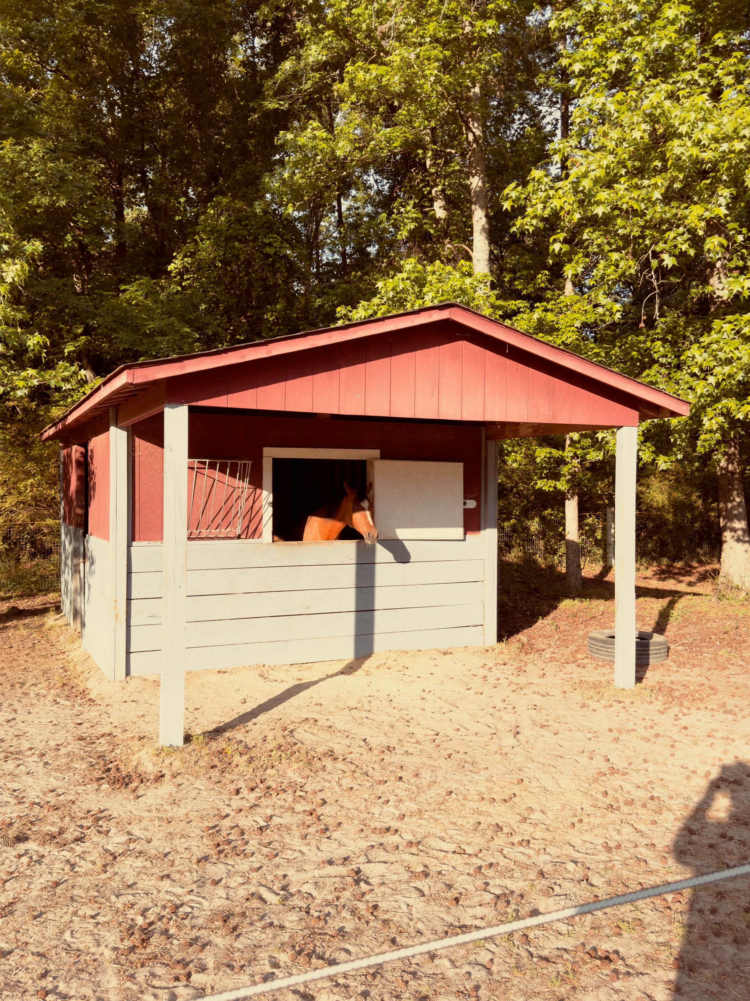 Camper submitted image from Legacy Farms Roughing It - 5