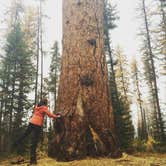 Review photo of Seeley Lake Lolo Campground (MT) — Lolo National Forest by Lindsay B., June 6, 2016