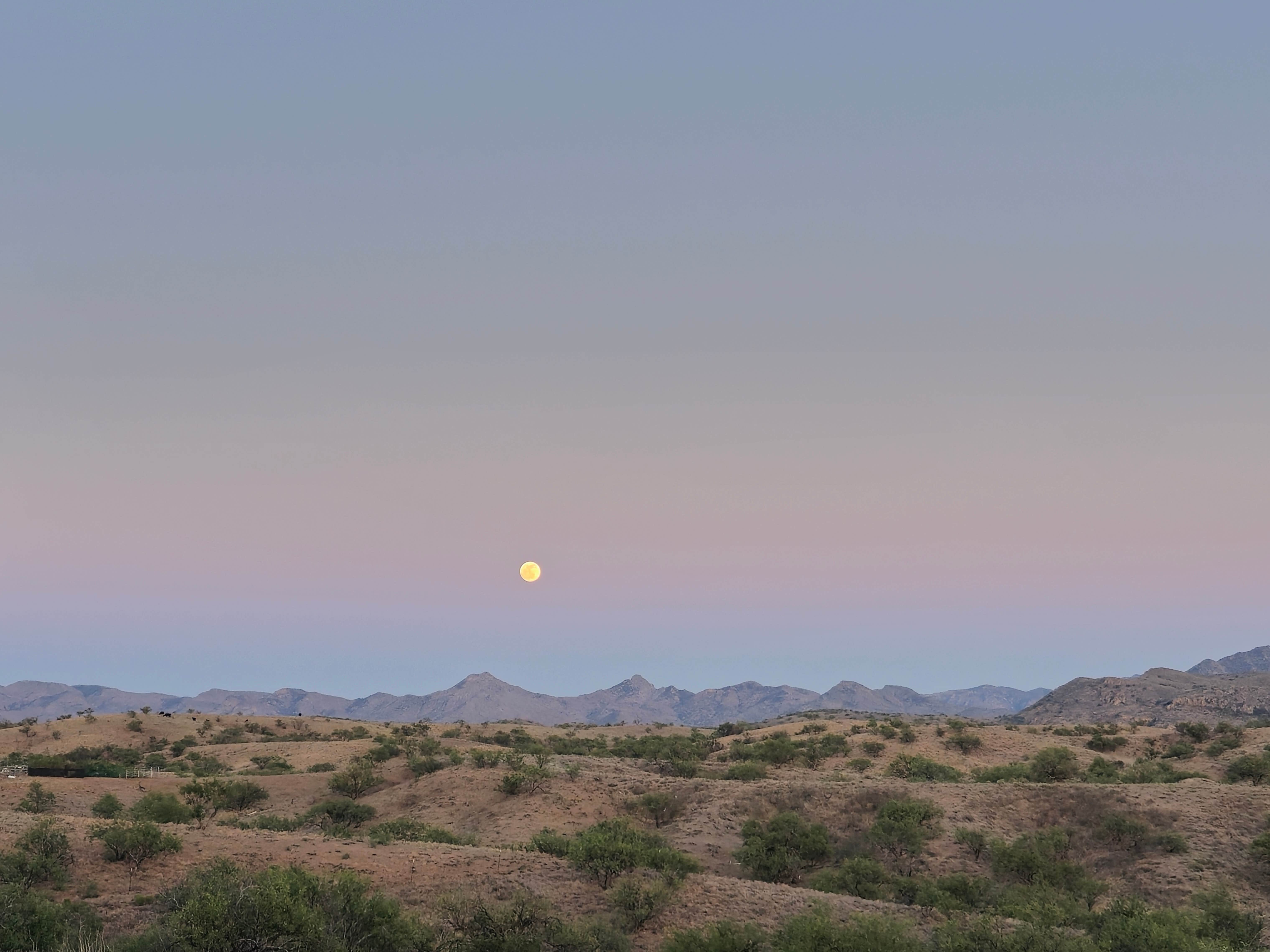 Camper-submitted photo at Camp Vaca near Arivaca, AZ