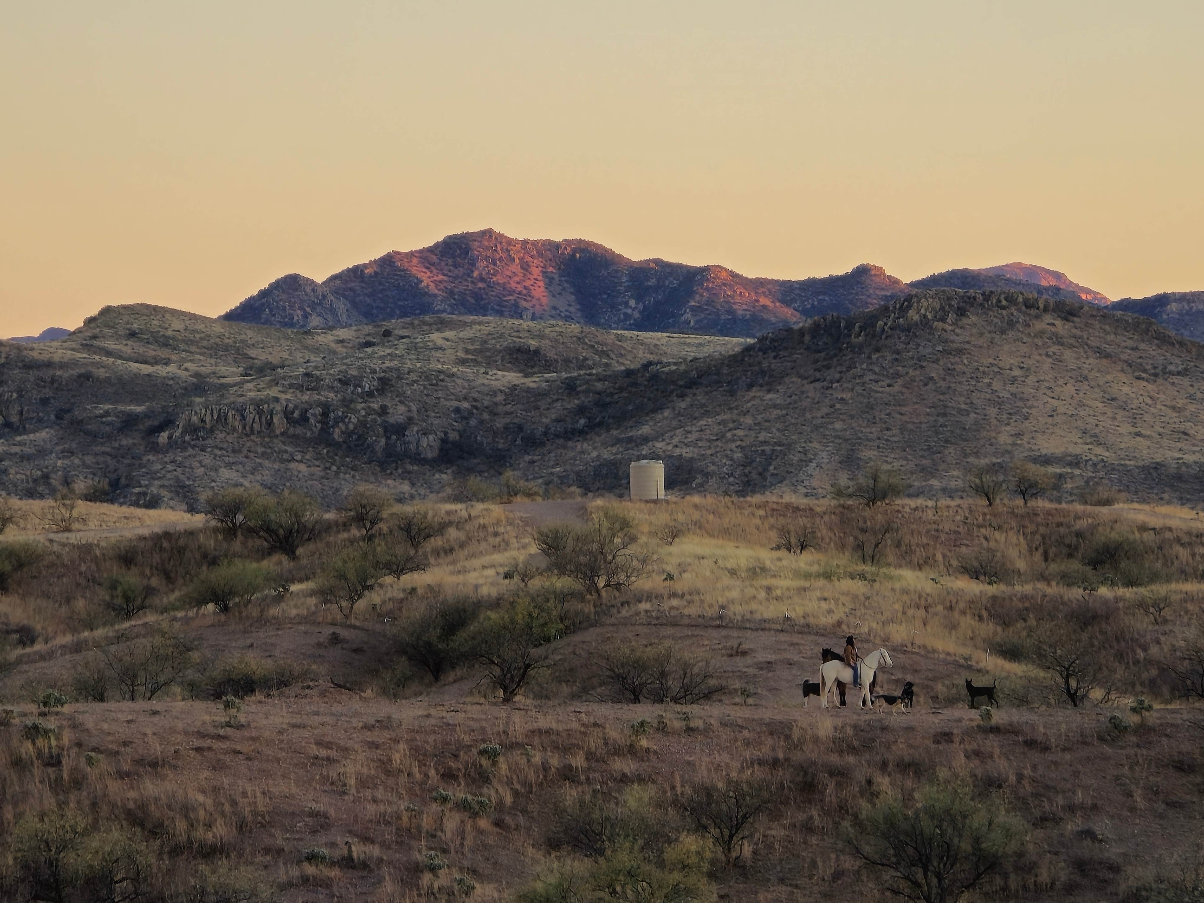 Nelson M.'s photo of camping with pets at Camp Vaca near Arivaca, AZ