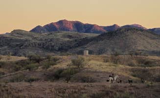 Nelson M.'s photo of camping with pets at Camp Vaca near Arivaca, AZ