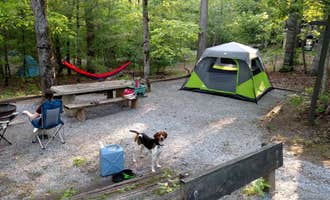Camping near The Blue Moon Cottage/RV : Lake Powhatan Campground, Enka, North Carolina