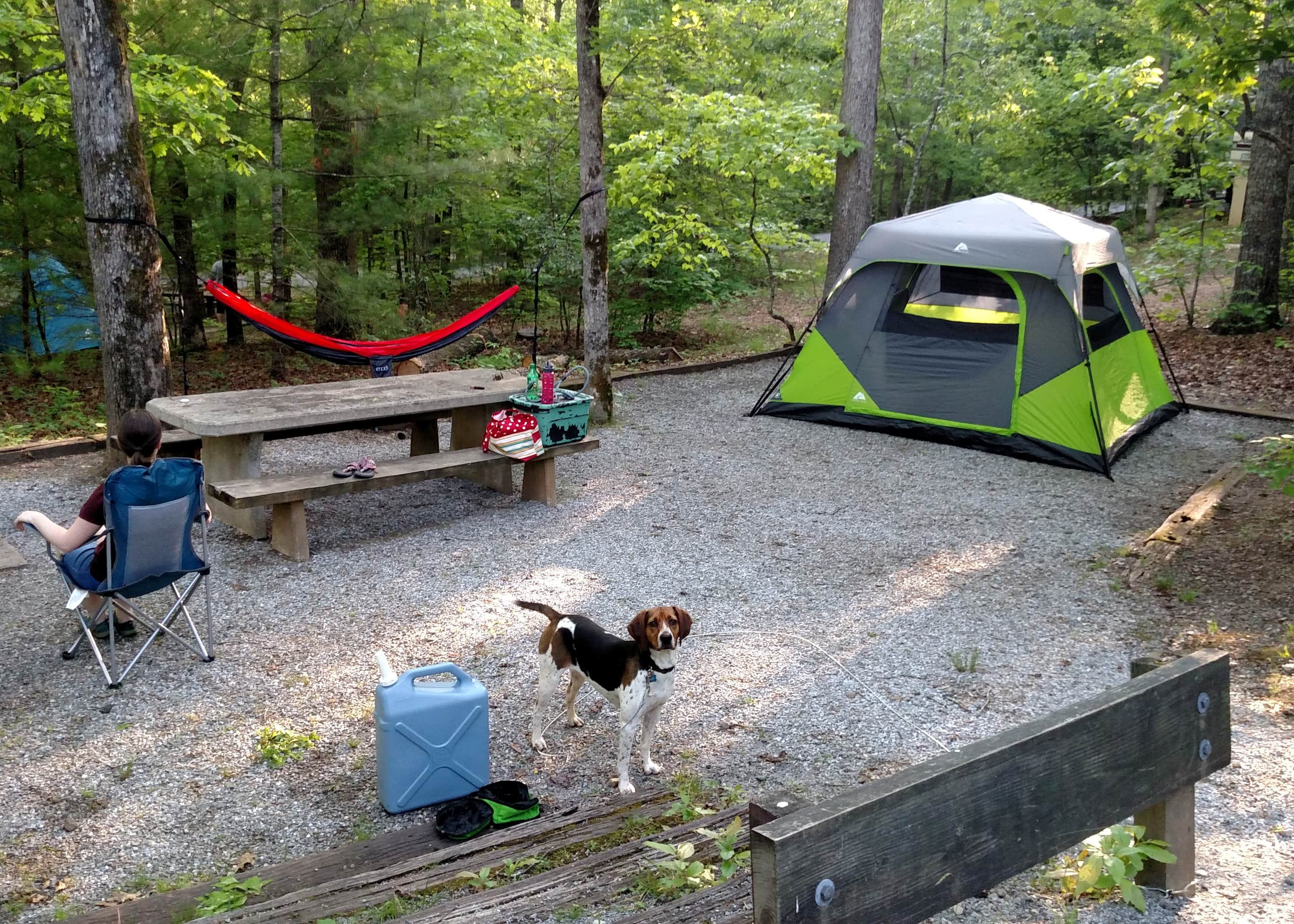 Lake Powhatan Campground Camping The Dyrt