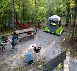 Camper-submitted photo from Mama Gertie's Hideaway Campground