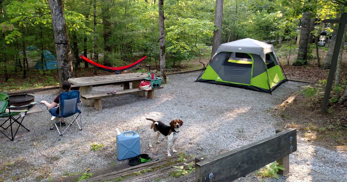 Camping near Gerton, NC: 50+ Best Places to Camp