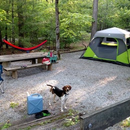Public Campgrounds: Lake Powhatan Campground