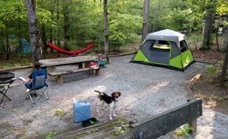 John W.'s photo of camping with pets at Lake Powhatan — National Forests In North Carolina near National Forests in North Carolina