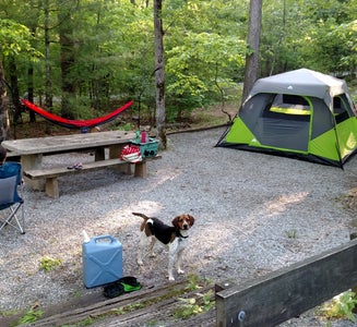 Camper-submitted photo from Lake Powhatan Campground