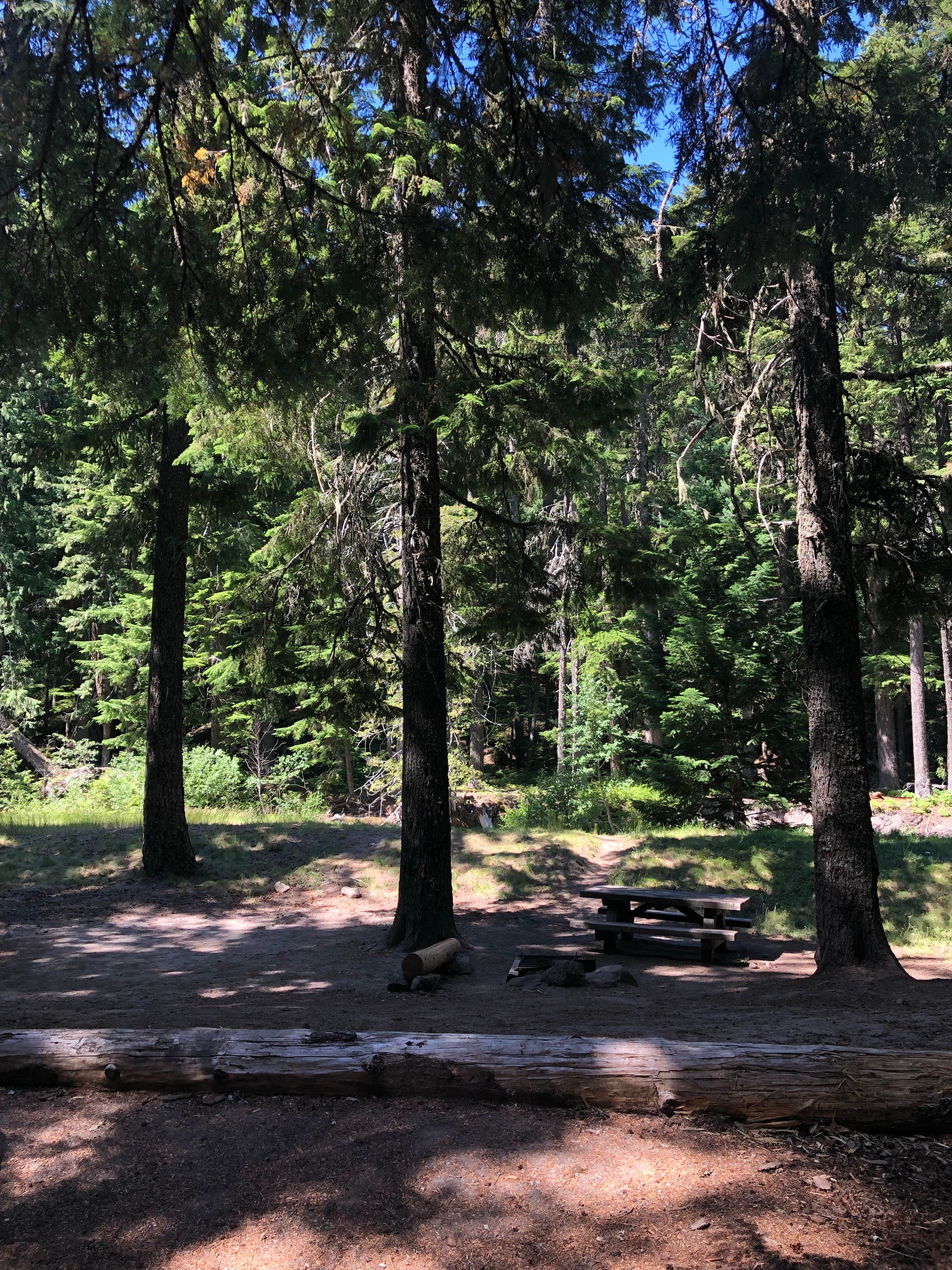 Camper submitted image from Sherwood Campground - 4