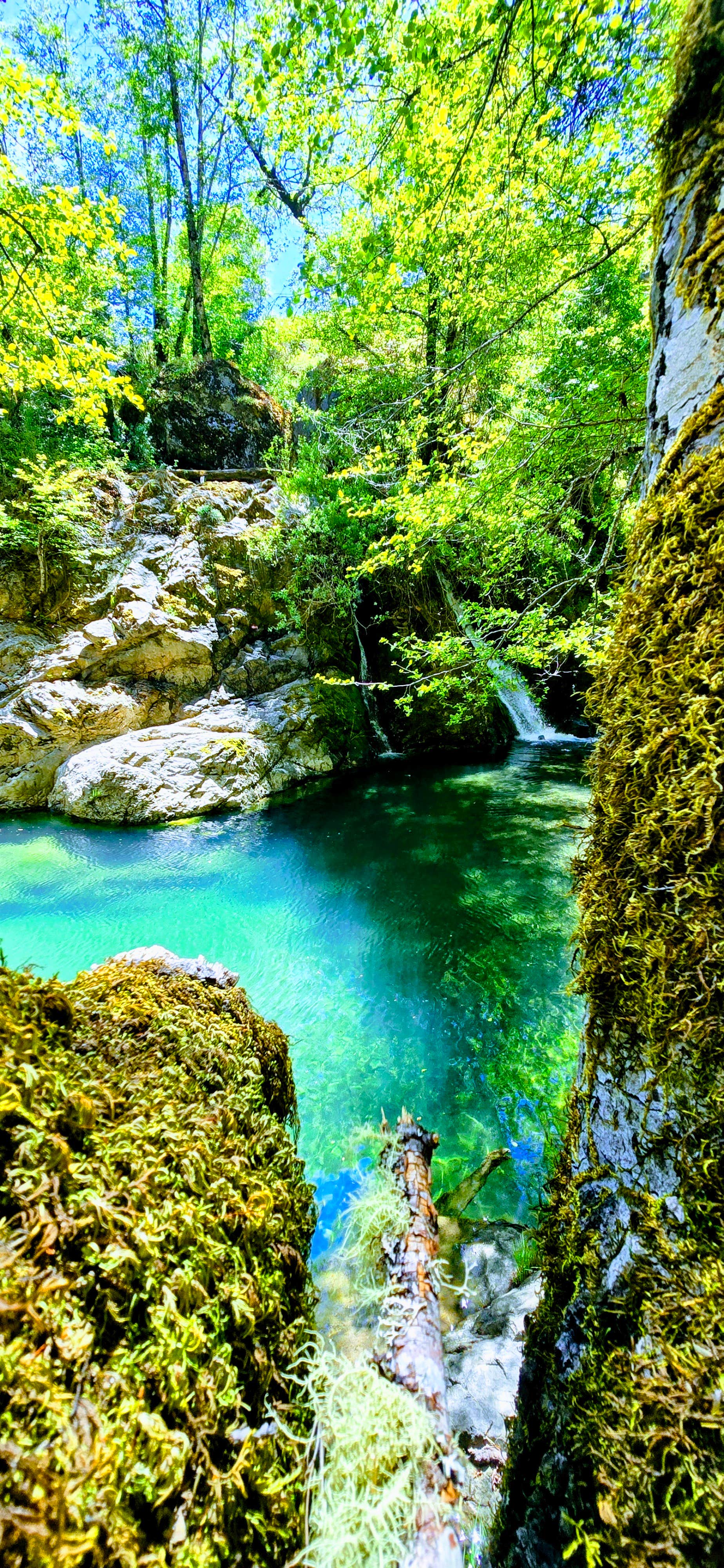 Camping near Usal Beach Campsites — Sinkyone Wilderness State Park: The Hideaway at The Hole In The Wall, Leggett, California