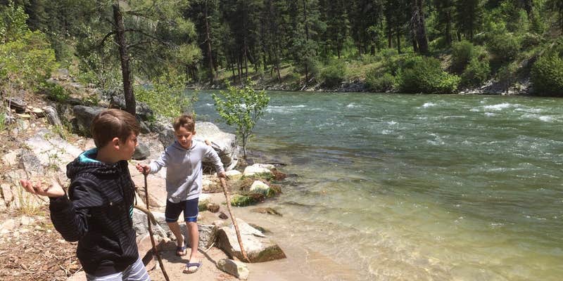 Camper submitted image from Pine Flats Campground